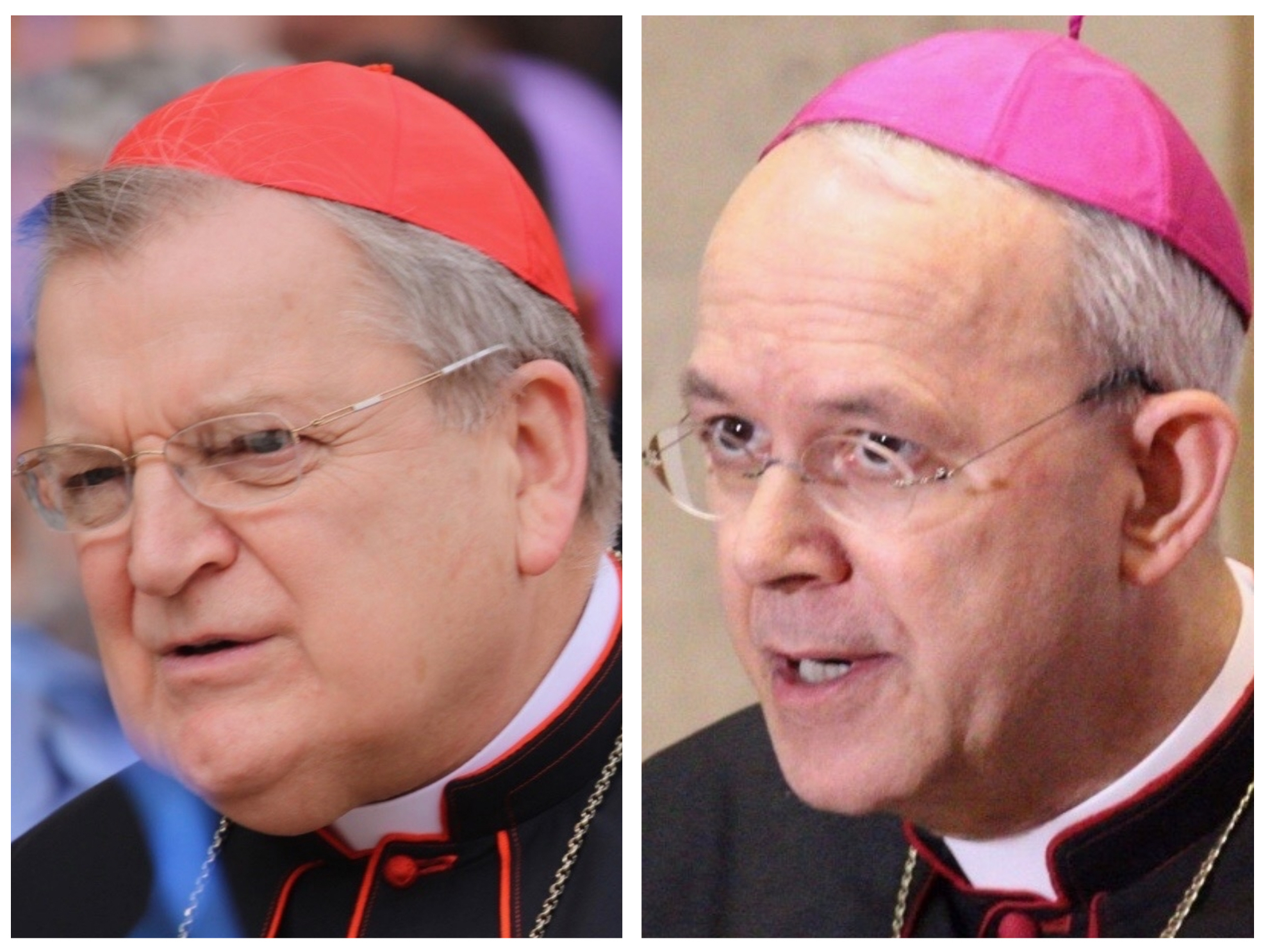 You are currently viewing Cardinal Burke, Bishop Schneider Announce Crusade of Prayer and Fasting