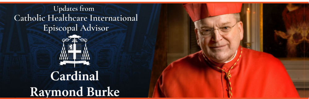Cardinal Burke Updates Banner